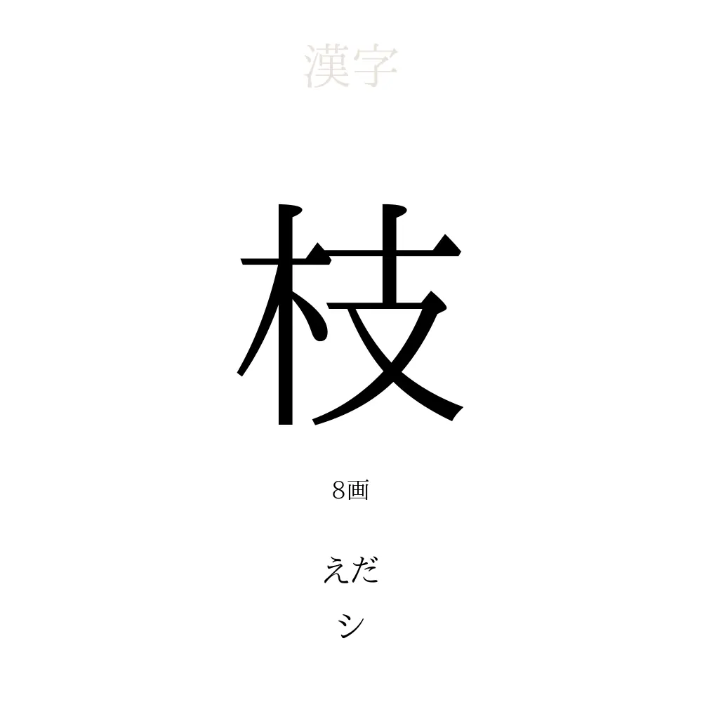 枝