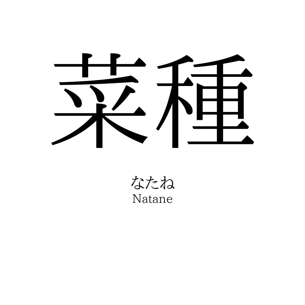 菜種