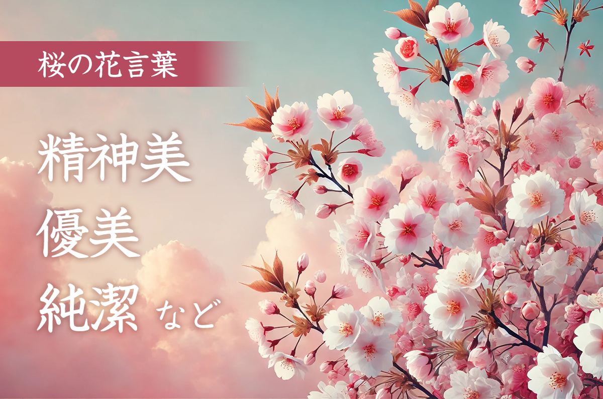 桜の花言葉は「精神美」「優美」「純潔」など