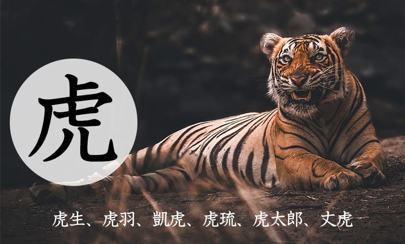 「虎」を使った男の子の名前。虎生、虎羽、凱虎、虎琉、虎太郎、丈虎など