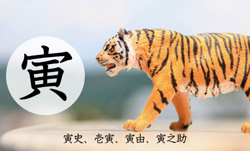 「寅」を使った男の子の名前。寅史、壱寅、寅由、寅之助