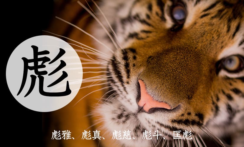 「彪」を使った男の子の名前。彪雅、彪真、彪慈、彪斗、匡彪など