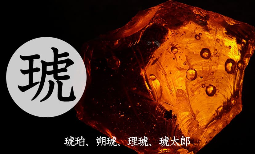 「琥」を使った男の子の名前。琥珀、朔琥、理琥、琥太郎など