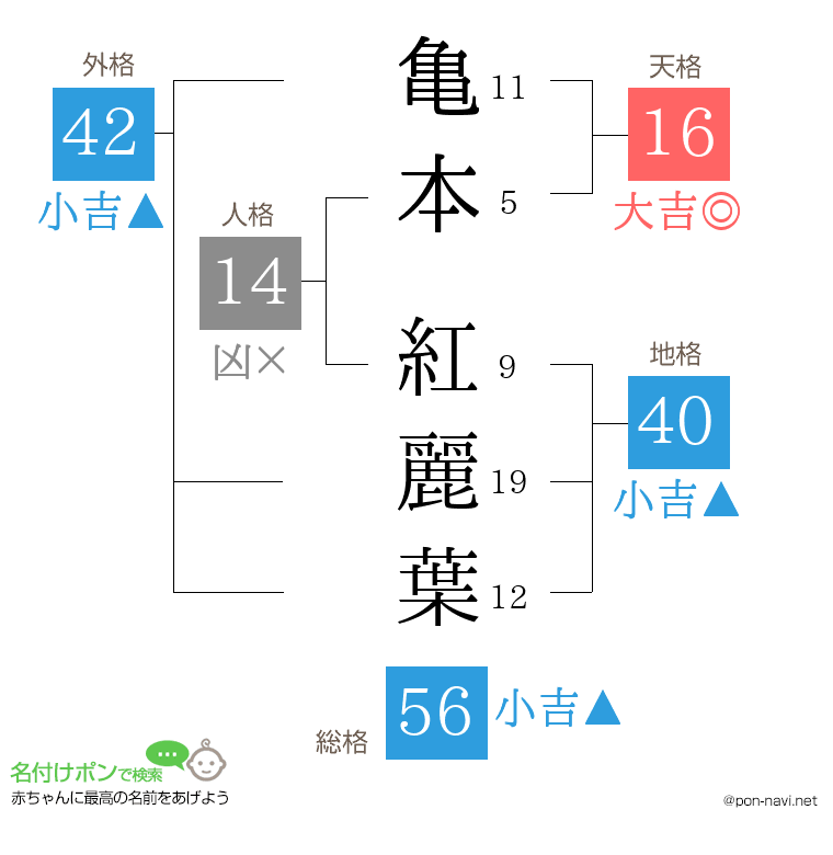 亀本 紅麗葉さんの姓名判断結果