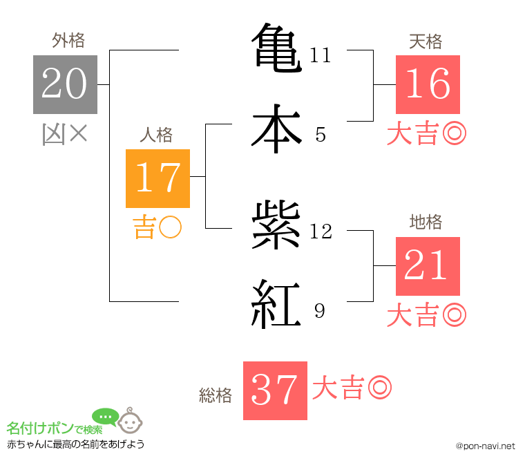 亀本 紫紅さんの姓名判断結果