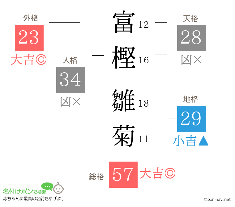 富樫 雛菊さんの姓名判断結果