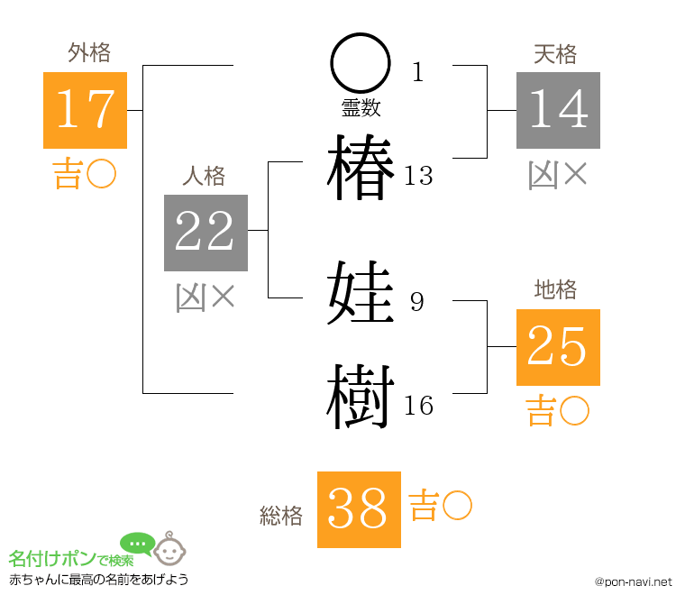椿 娃樹さんの姓名判断結果