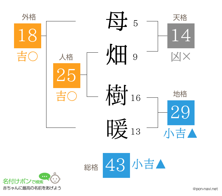 母畑 樹暖さんの姓名判断結果