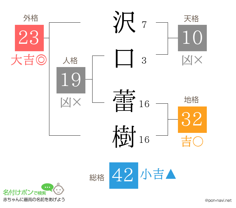 沢口 蕾樹さんの姓名判断結果