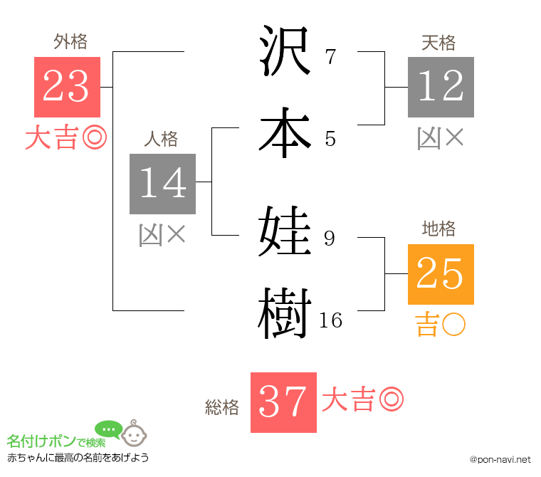 沢本 娃樹さんの姓名判断結果