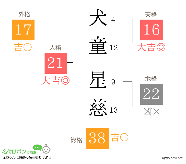 犬童 星慈さんの姓名判断結果