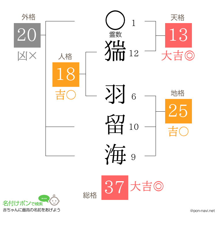 猯 羽留海さんの姓名判断結果