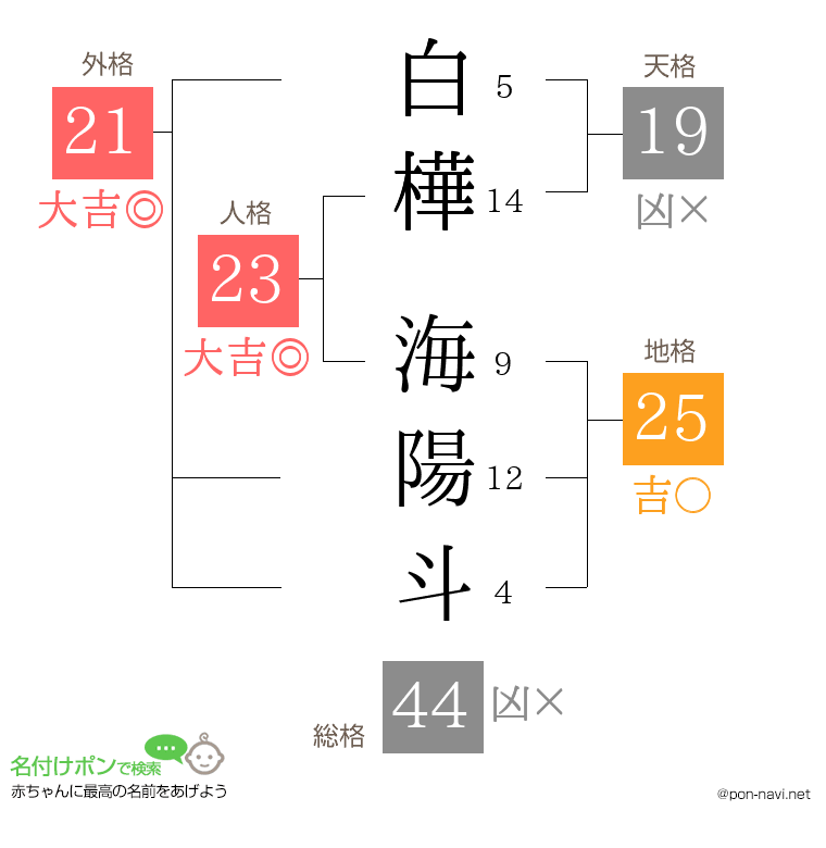 白樺 海陽斗さんの姓名判断結果