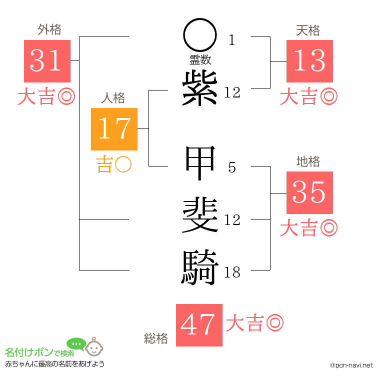 紫 甲斐騎さんの姓名判断結果