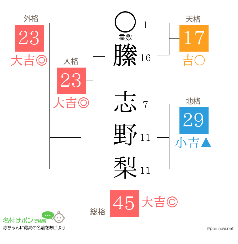 縢 志野梨さんの姓名判断結果
