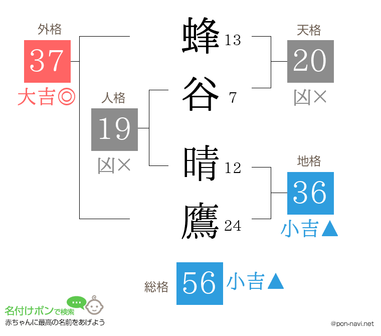 蜂谷 晴鷹さんの姓名判断結果