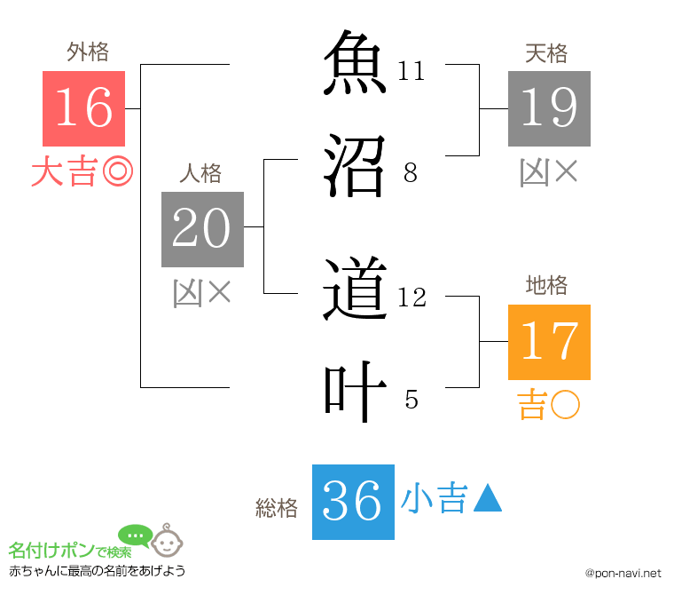 魚沼 道叶さんの姓名判断結果