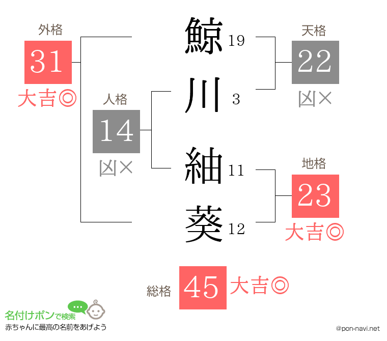 鯨川 紬葵さんの姓名判断結果