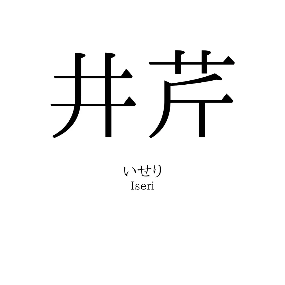 井芹