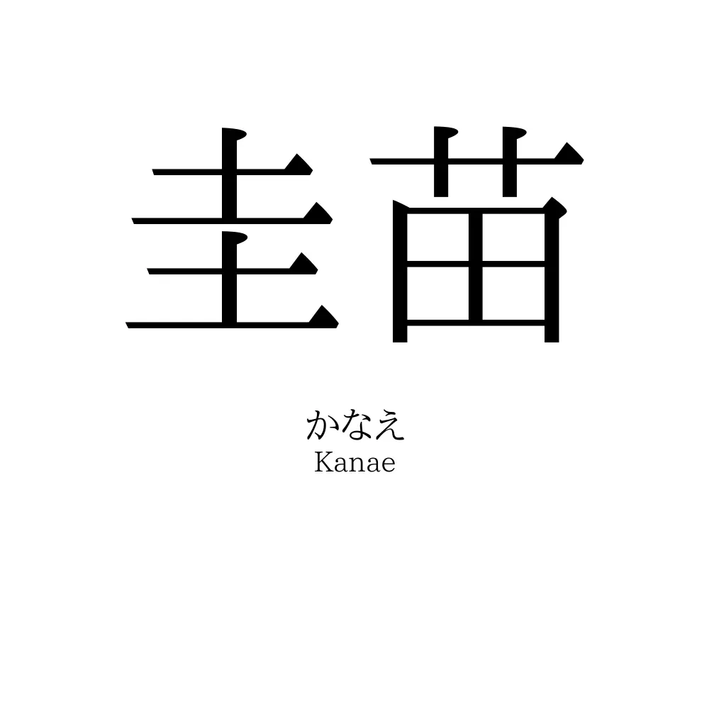圭苗