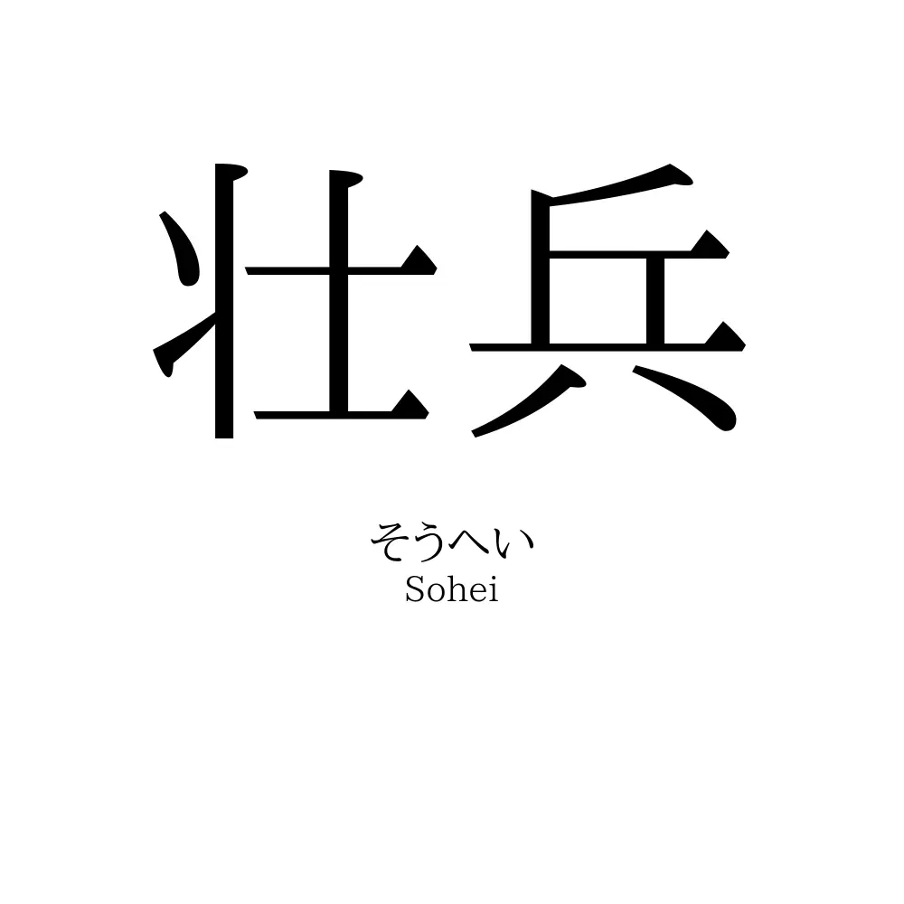 壮兵