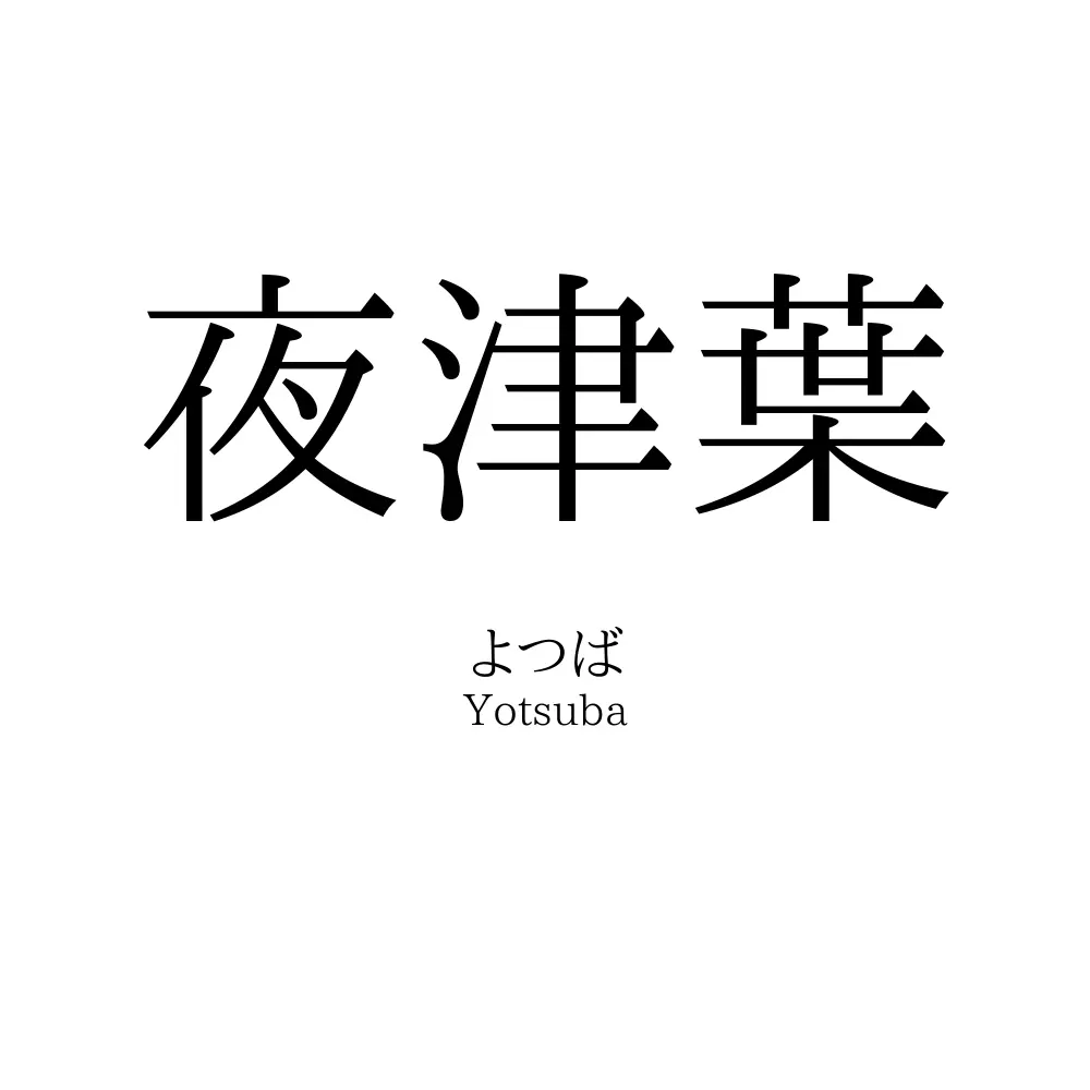 夜津葉