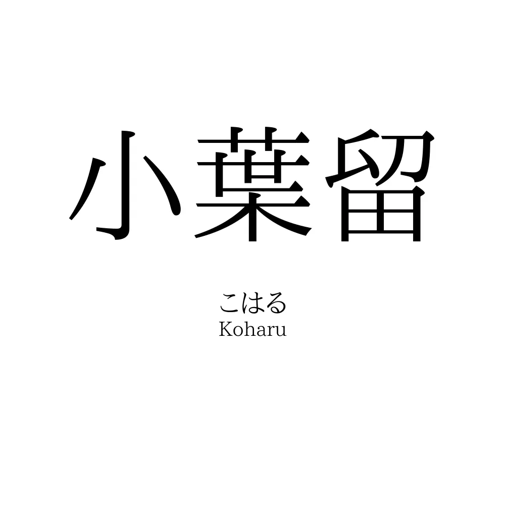 小葉留