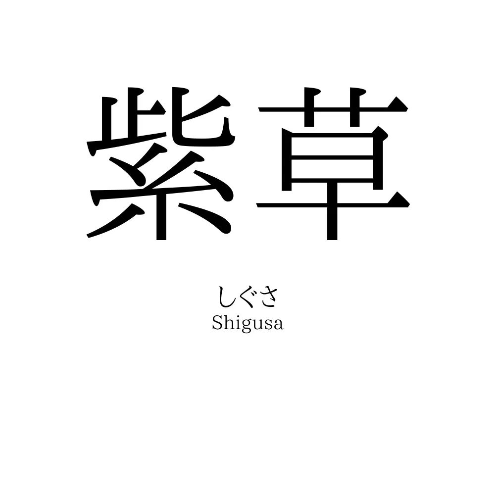 紫草
