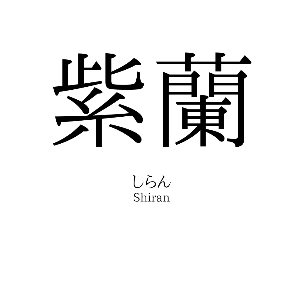 紫蘭