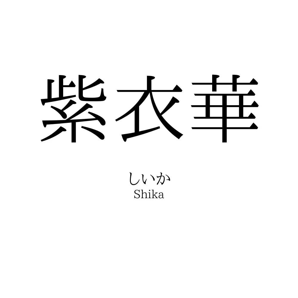 紫衣華