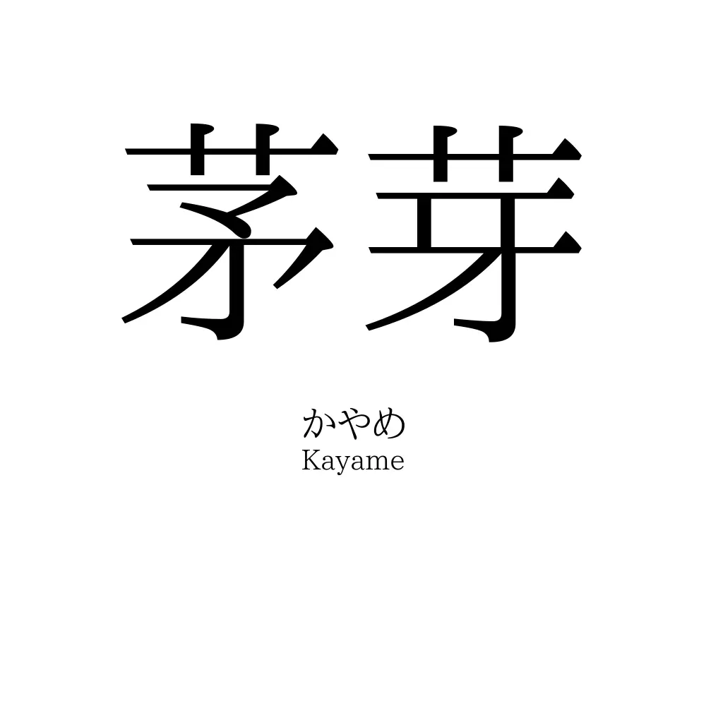 茅芽
