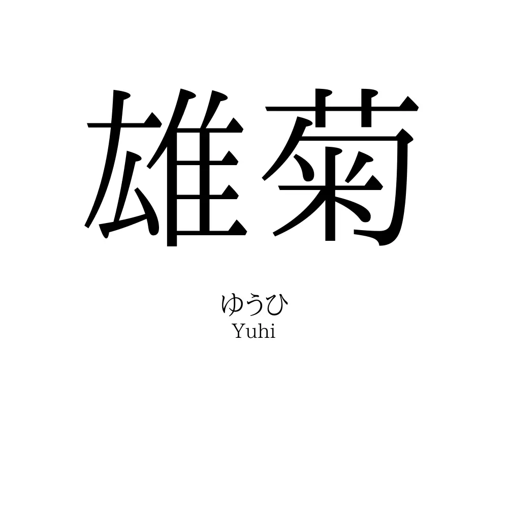 雄菊