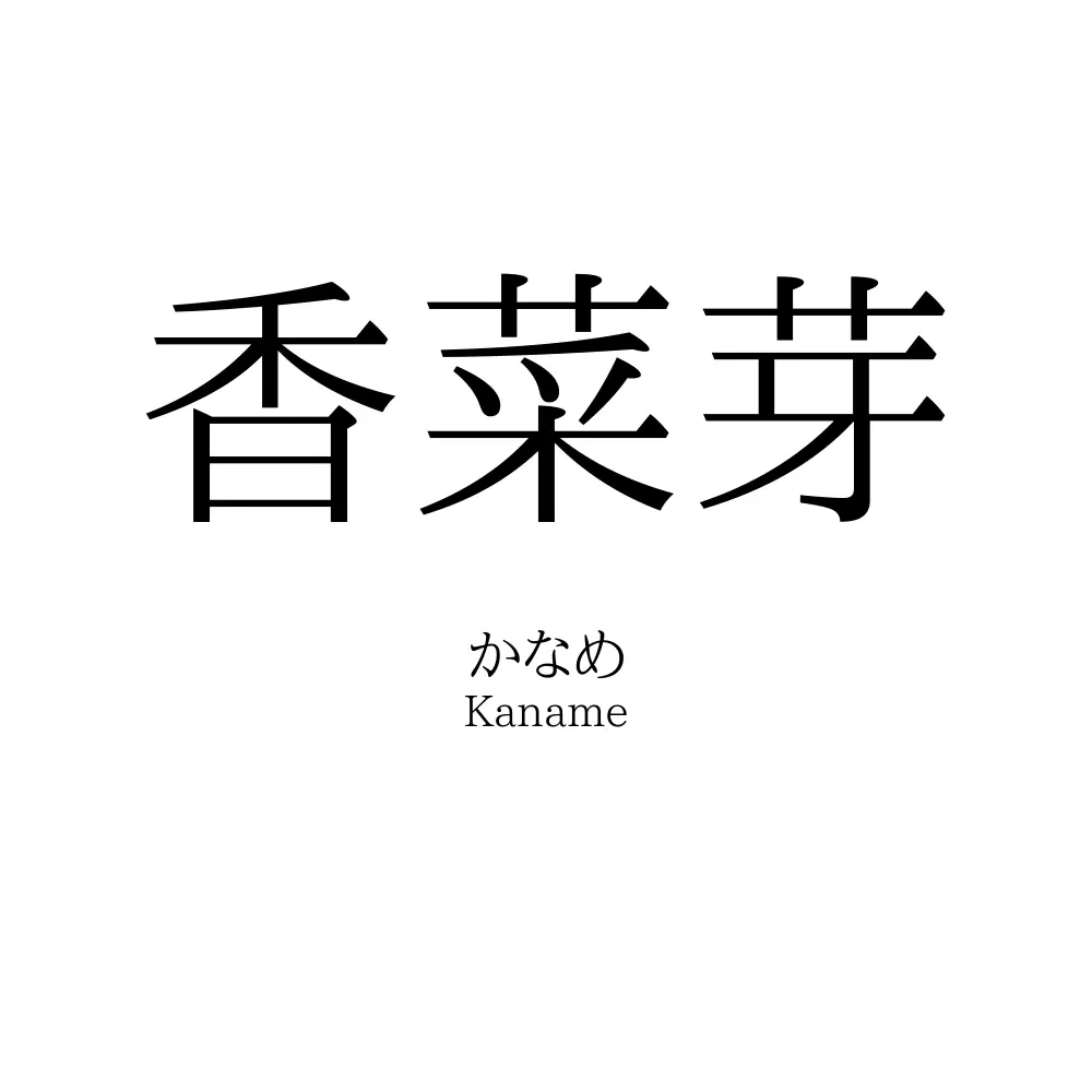 香菜芽